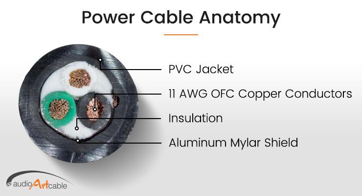 power1 Anatomy